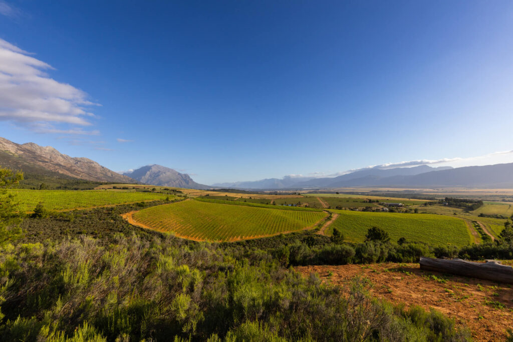 Drie fonteine Tulbagh